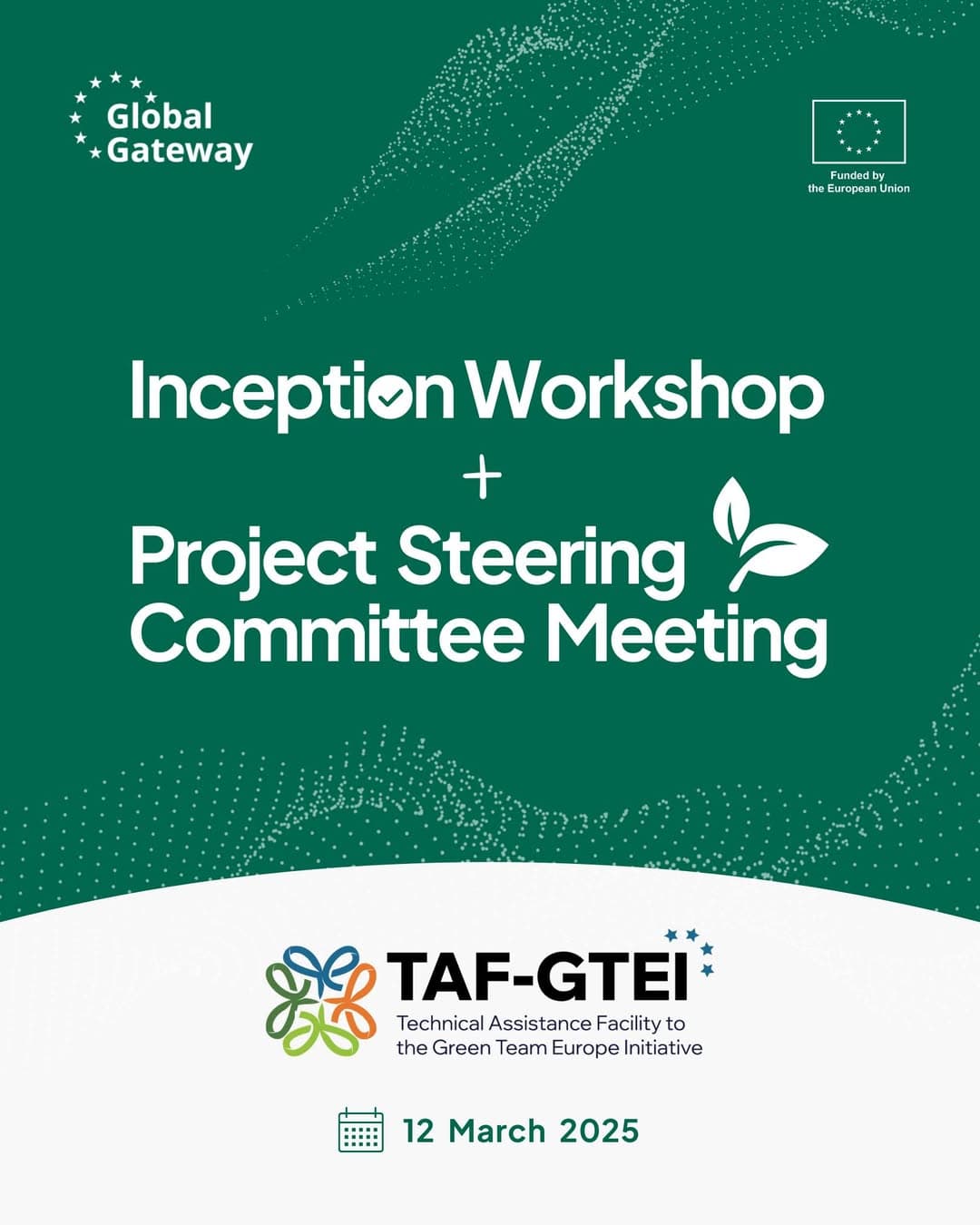 Technical Assistance Facility — Green Team Europe Initiative - 2